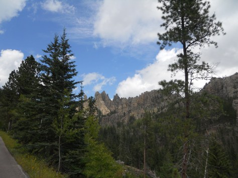 Needles Highway