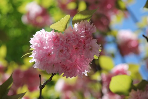 Cimetière de Saint-Éloi