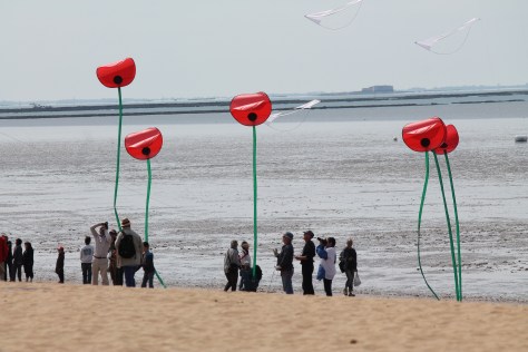Festival de cerf-volant et du vent de Châtelaillon-Plage