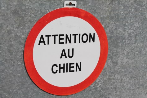 (Beware of the dog!)