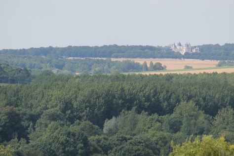 Random gorgeous château in the distance