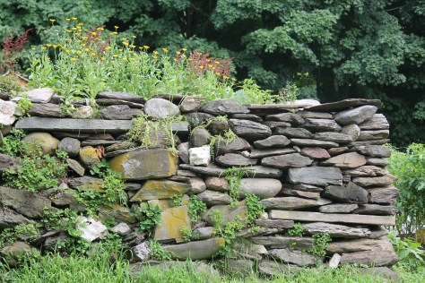 Four-Legged Farm, Vermont
