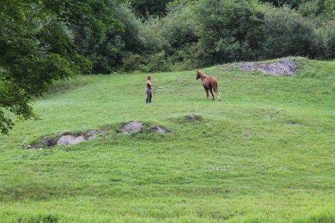 Diana Schooling Skyler