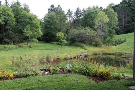 View from Shawn and Diana's Terrace