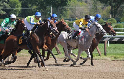 Saratoga Springs, New York, 17 August 2014