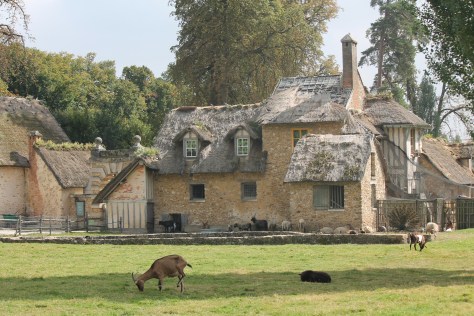 The Farm at Versailles