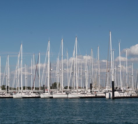 Sailboats in Port Cropped
