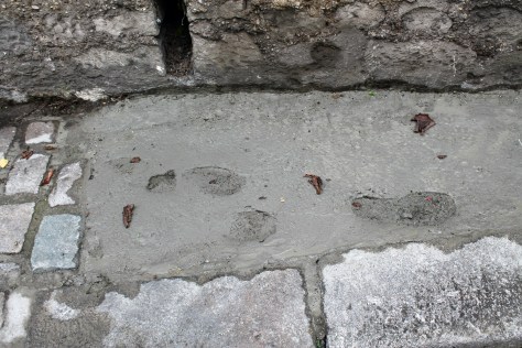 Oops. David's Impression on France