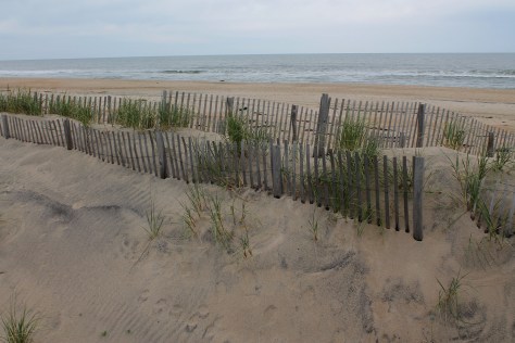 The NOT crowded beach at Rodanthe in November