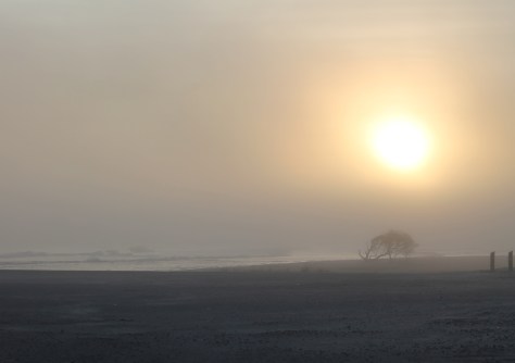 Foggy Sunset on Folly Beach
