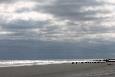 Folly Beach in Evening Light