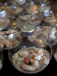 Shell Ornaments Enhanced