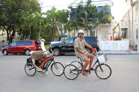 Standard Duval Street style sight