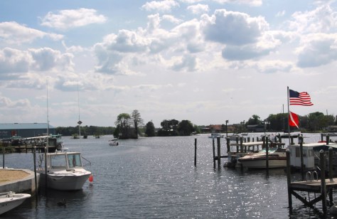 Lunch overlooking the Crystal River
