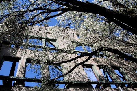 Silky O'Sullivan's inside the patio and from the street (above right)
