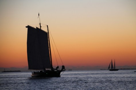 Sunset Sails