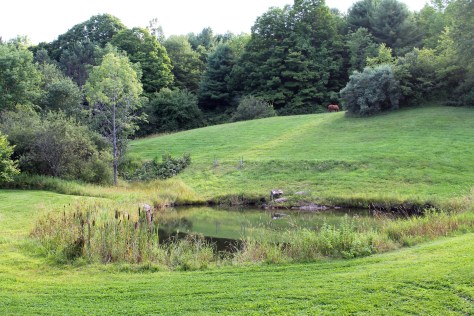 Four-Legged Farm, Putney, Vermont