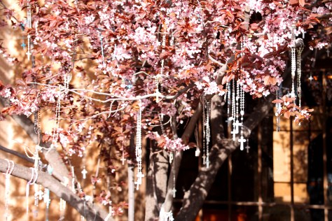 Rosaries on Loretto Chapel Tree