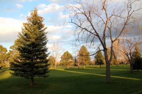 Seventh Fairway