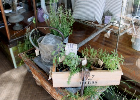 EsScentuals--142 South College 