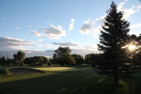 Glorious morning out back