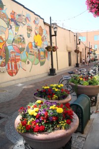 Old Town Fort Collins -- One of the pretty alleys
