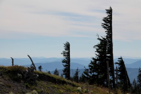 Atop Mt. Hood -- Oregon