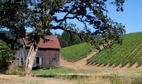 Willamette Valley Vineyard
